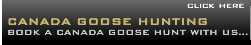 Colorado Goose Hunts
